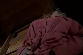 Hot Dreams Become True!!! - Vol. #01