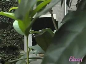 Kinky sharking adventures with a hot Japanese chick