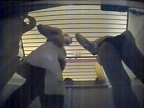 Craziest Voyeur Movie Only Here