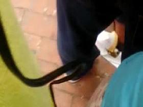 ARRIMON MADURA FLAQUITA CULONA EN FALDA