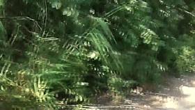 They take advantage of fucking outside