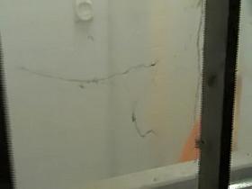 Girl is stripping and getting on the window voyeur video