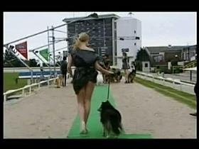 Public upskirt amateur blonde model