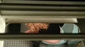 Geeky girl's thong spied during a pee