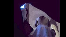 Gentle Sex Bomb Upskirted.