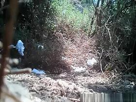 Sports chick pissing in nature