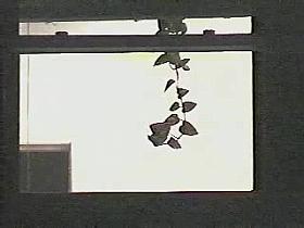 Window peeping - topless girl