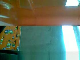 Toilet spycam catches girl pissing