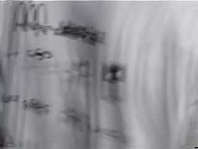 Candid shorts on hot babe shot on a bright summer day 05zx