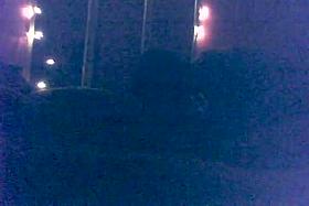 hidden camera asian massage 1