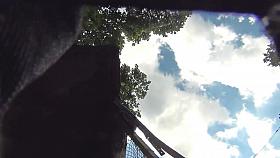 Upskirt Voyeur Black Lace Thong Mom