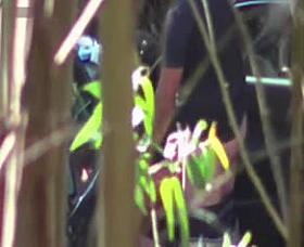 Hidden Cam - Woods 12