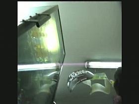 Street upskirt movie of gorgeous babes with tight asses