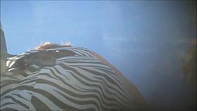 Upskirt 65 portuguesa 2