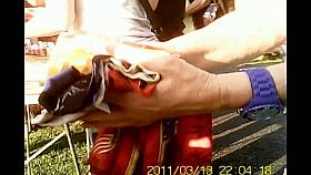 Wolter's Downblouse Bitch 258