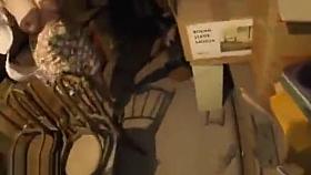 Peito enorme e lindo