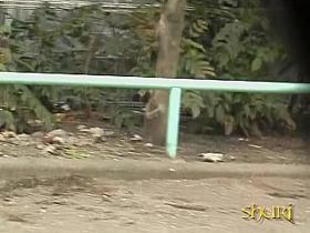 Adoring small bimbo is very surprised during instant sharking attack