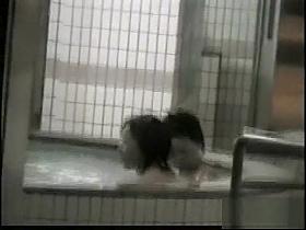 Bath, Changing Room Clip Watch Show