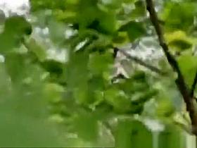 Girl with a guy fucking