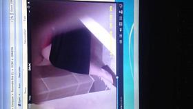 Fatty on toilet not good view