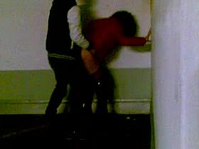 Drecksvotze von hinten gefickt