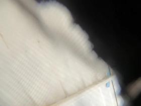 Spy cam girl in beach cabin changing panty under shorts