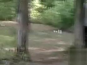 Black hookers make money on a day at the public park