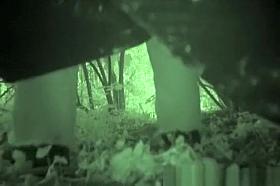 Girl in jeans pants peeing in the bushes