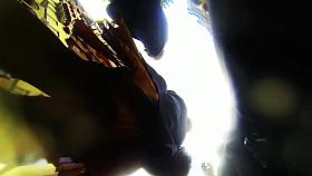 Upskirt 2013