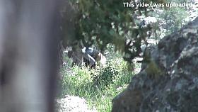 Girls Pissing voyeur video 310