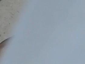 Milf depilation (from last summer vacation)