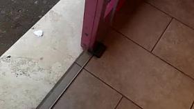 CON MIA SUOCERA IN ROSTICCERIA