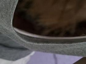 Asian downblouse extravaganza with the fake petition friends