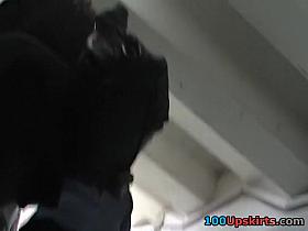 miss Bouncing Petticoat up