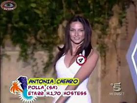 Two amazing young brunette sluts upskirt on tv