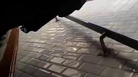 Black stockings upskirt