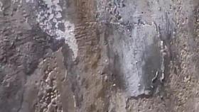 Three caught topless sunbathing