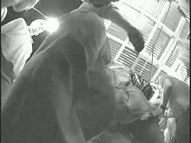 Real street upskirt video of hot chicks