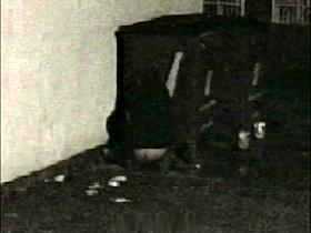 Girls Pissing voyeur video 83