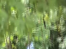 Girl hid in the bushes and pissed on my voyeur camera