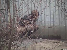 Girls Pissing voyeur video 283