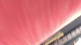 Sexy bitch pantyhose Upskirt