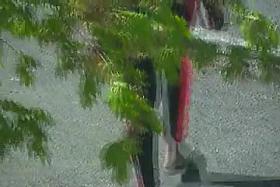 Street voyeur filmed a sexy bitch with nice butt