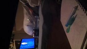 danish voyeur collection