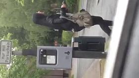 Parklplatz Bitch neu