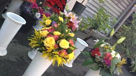 Street voyeur recorded a hot chick with nice ass