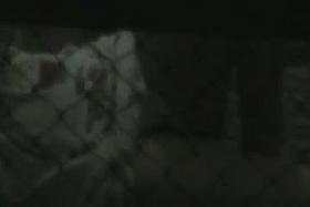 Sexy Neighbour Window