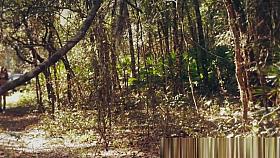 Cocksucking teen babe screwed by an intruder