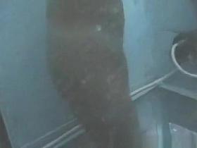 Amateur, Voyeur, Changing Room Scene Show