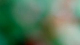 Naked valley at the nudist beach with girls and audlts